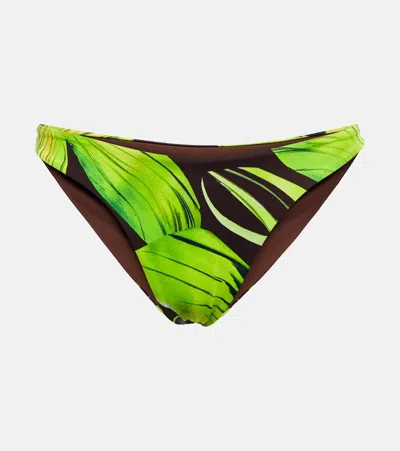 Louisa Ballou Multicoloured Floral Bikini Briefs