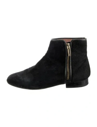 Pre-owned Louise Et Cie Suede Boots In Black