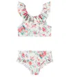 Louise Misha Primavera Floral Ruffled Bikini In Multicoloured
