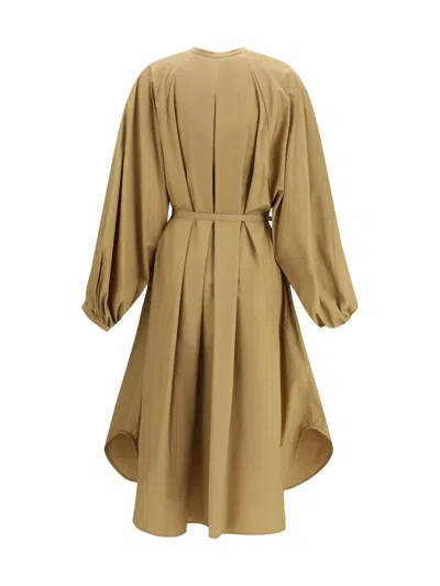 Loulou De Saison Vitti Shirt Dress In Brown