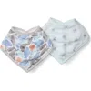 Loulou Lollipop Assorted 2-pack Muslin Bandana Bibs