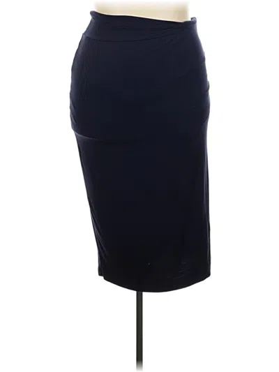 Pre-owned Loulou Studio Formal Skirt In Blue