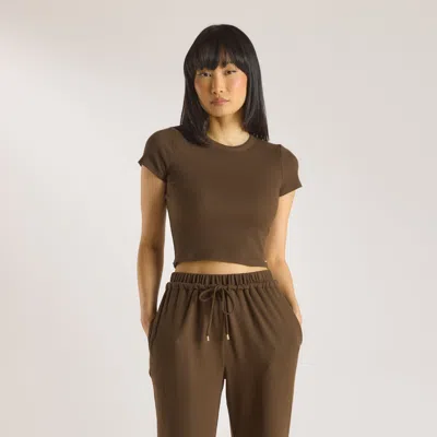 Lounge Chocolate In Brown