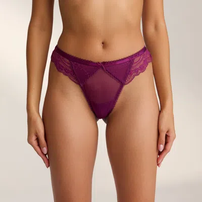 Lounge Plum In Purple