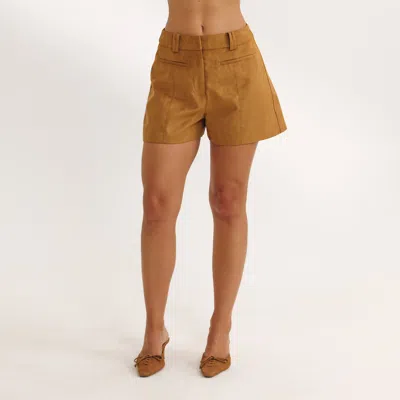 Lounge Tan In Brown