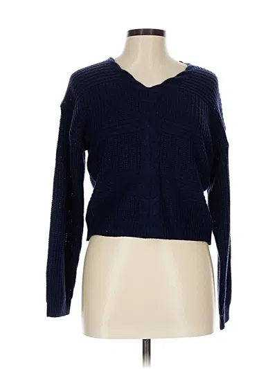 Pre-owned Love Change Pullover Sweater In Blue