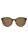 Love Moschino 51mm Round Sunglasses In Havana