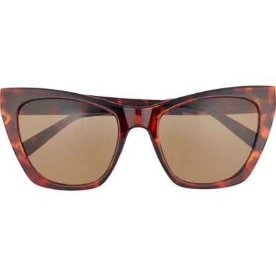 Love Moschino 53mm Cat Eye Sunglasses In Havana
