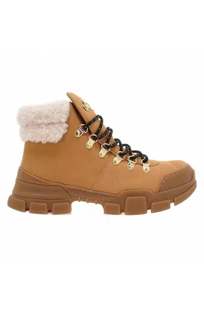Love Moschino Shoes  Snow Boots Woman Light Brown 40 - Ja15884g0fip120a-40
