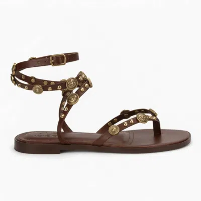 Love Rio Women's Lindy Gladiator Flat Sandals In Chocolate In Gold