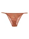 Love Stories Clio Lace Briefs In Brown