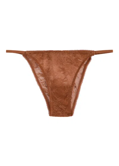 Love Stories Clio Lace Briefs In Brown