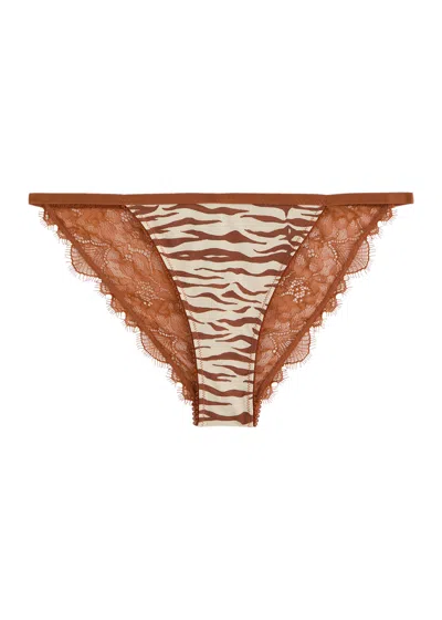Love Stories Wild Rose Zebra-print Lace Briefs In Brown