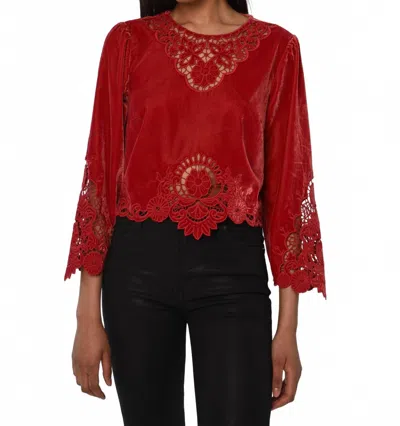 Love The Label Alina Velvet Top In American Beauty In Brown