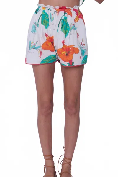 Love The Label Amelia Shorts In Multi