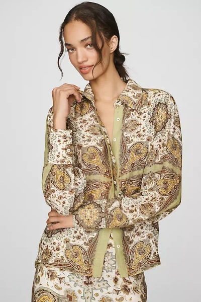 Love The Label Joie Top In Green