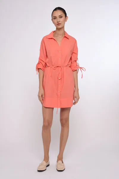 Love The Label Shannon Mini Dress In Orange
