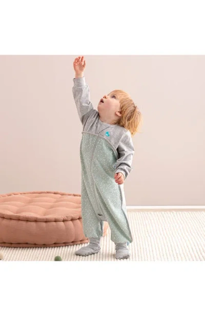Love To Dream 1.0 Tog Long Sleeve Sleep Suit