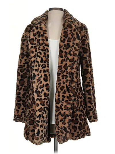 Pre-owned Love Tree Coat In Brown
