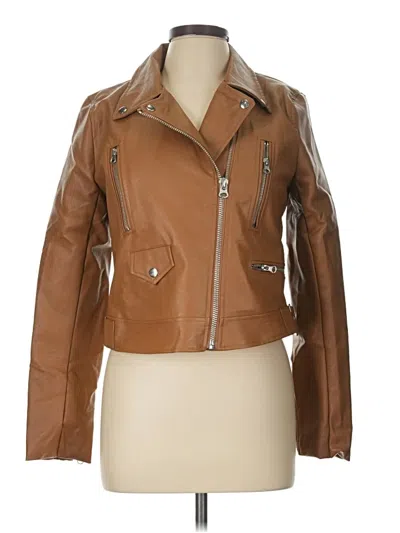 Love Tree Jacket In Brown