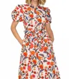 Love Wednesday Poppy Festival Dream Midi Dress In Multi In Multi