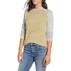 Loveappella Raglan Sleeve Knit Top In H Gray/mustard