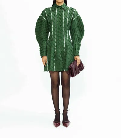 Lovebirds Azaria Wool Mini Dress In Hunter Green