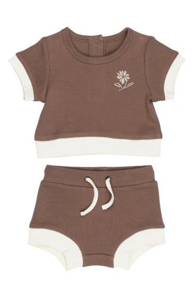 L'ovedbaby Embroidered Organic Cotton T-shirt & Shorts Set In Latte Flower