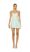 Lovers & Friends Alexandria Mini Dress