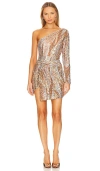 Lovers & Friends Amaryllis Mini Dress In Stardust Multi