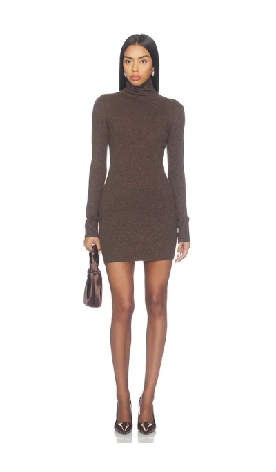 Lovers & Friends Bessi Turtle Neck Mini Dress In Brown
