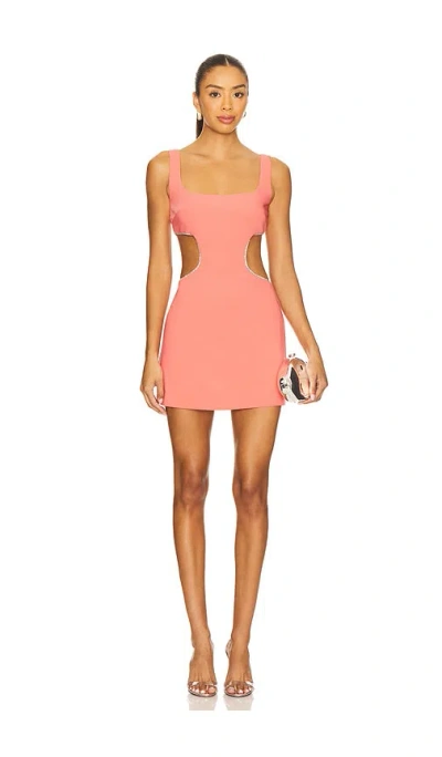Lovers & Friends Daya Mini Dress In Pink