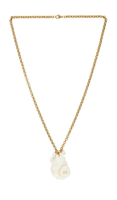 Lovers & Friends Drew Shell Necklace In Gold