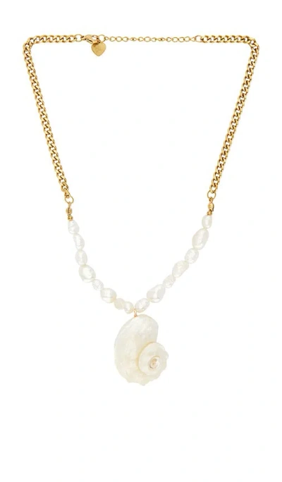 Lovers & Friends Eden Shell Necklace In Gold