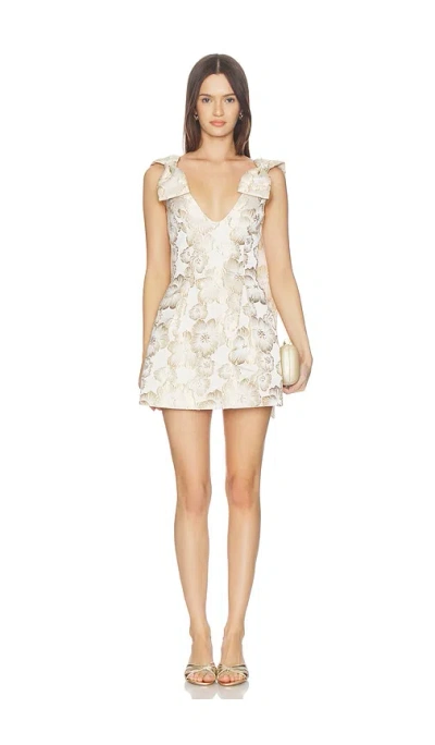 Lovers & Friends Halley Mini Dress In Multi