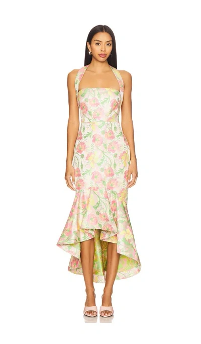 Lovers & Friends Ivy Maxi Dress In Multi