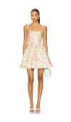 Lovers & Friends Ivy Mini Dress In Multi