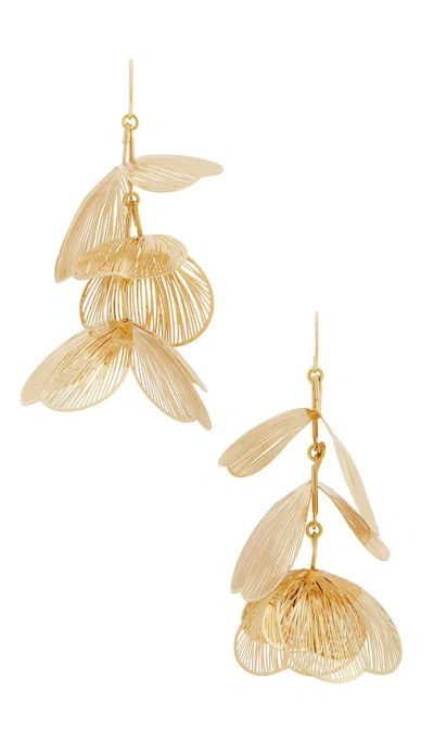 Lovers & Friends Jessamine Earrings In 골드