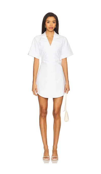 Lovers & Friends Lauren Mini Dress In White