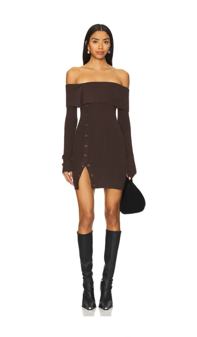 Lovers & Friends Lexi Mini Dress In Brown