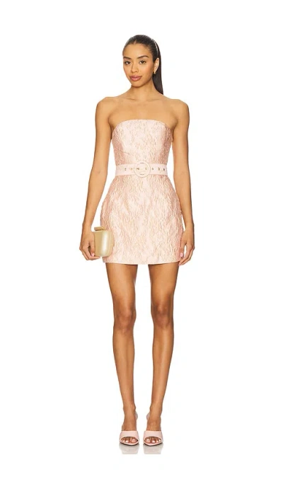 Lovers & Friends Minikleid Molli In Pink