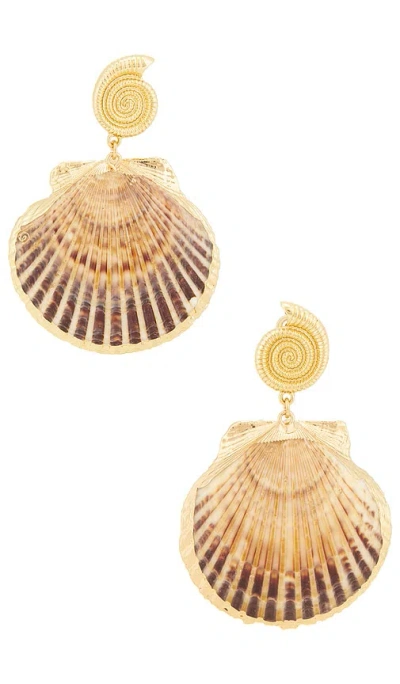 Lovers & Friends Noelani Shell Earrings In Gold