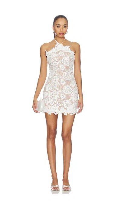 Lovers & Friends Remy Mini Dress In Transparent