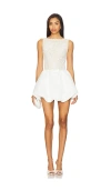 Lovers & Friends Serena Mini Dress