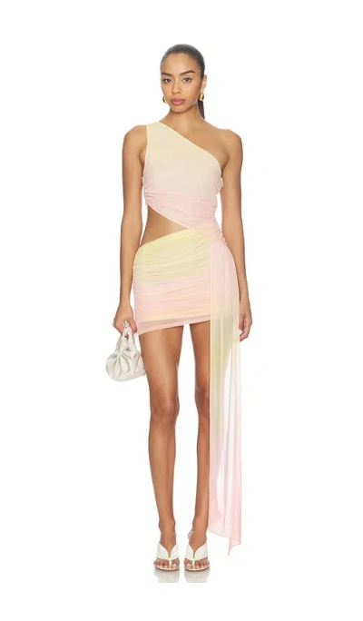Lovers & Friends Viola Mini Dress In Multi