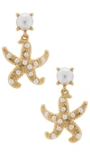 Lovers & Friends Willow Earring In Gold