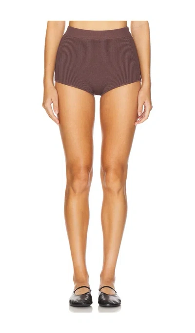 Lovers & Friends Limor Shorts In 브라운