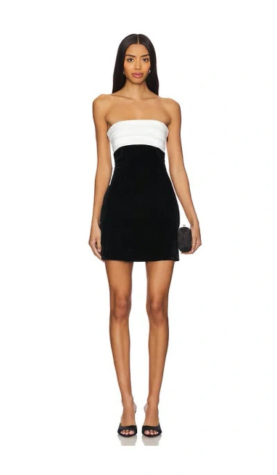 Lovers & Friends Tara Mini Dress In Black & White