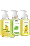 Lovery Foaming Hand Soap Pack Of 3 In Lemon Lime