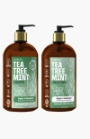 Lovery Tea Tree Mint Shampoo And Conditioner Gift Set In Amber/green